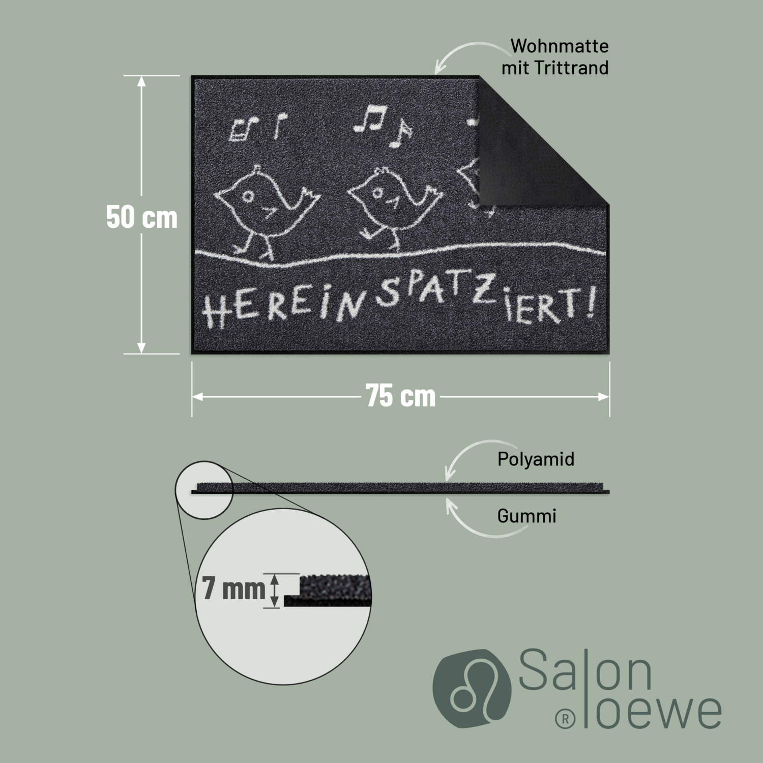 salonloewe-hereinspaziert-eingangsmatte-50-x-75-cm image 4