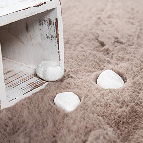 paco-home-rabbit-hochflor-teppich-kaninchenfell-imitat-160x230-cm-beige image 8