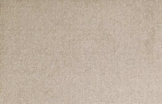 salonloewe-uni-sand-sonderanfertigung-70-200-individuelle-schmutzfangmatte-polya image 1