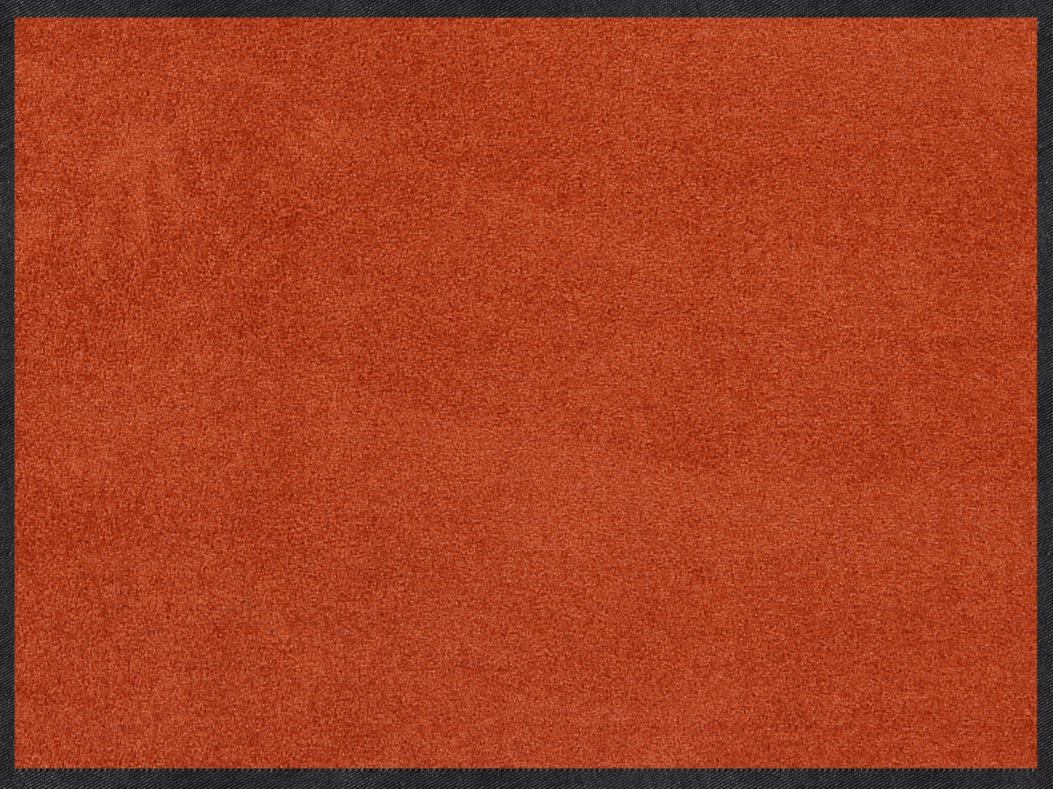 salonloewe-cayenne-halb-rund-60-x-85-cm image 1