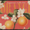 salonloewe-happy-apple-eingangsmatte-50-x-75-cm image 7