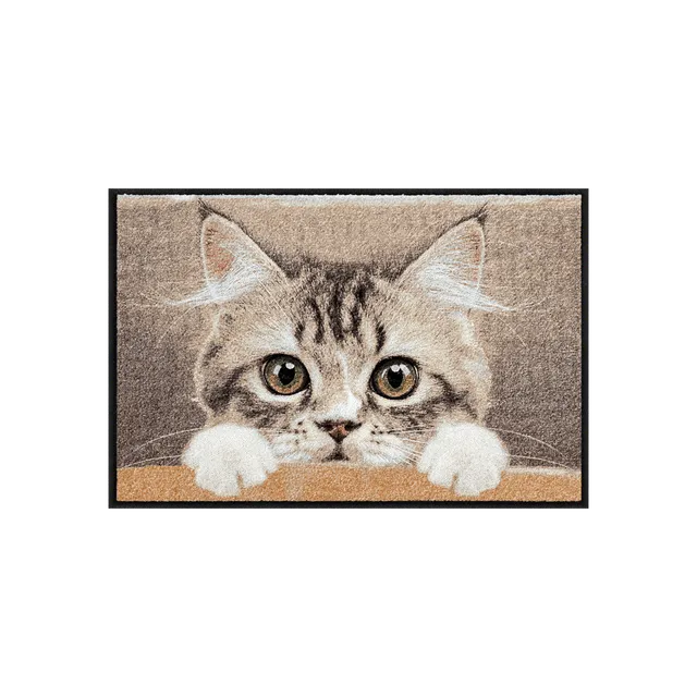 salonloewe-nosy-cat-eingangsmatte-50-x-75-cm-katzendesign-beige-braun image 1