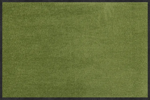 salonloewe-salbei-l-ufer-40-x-60-cm-gr-ne-uni-fu-matte image 1