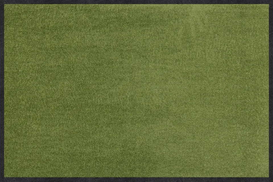 salonloewe-salbei-l-ufer-40-x-60-cm-gr-ne-uni-fu-matte image 1