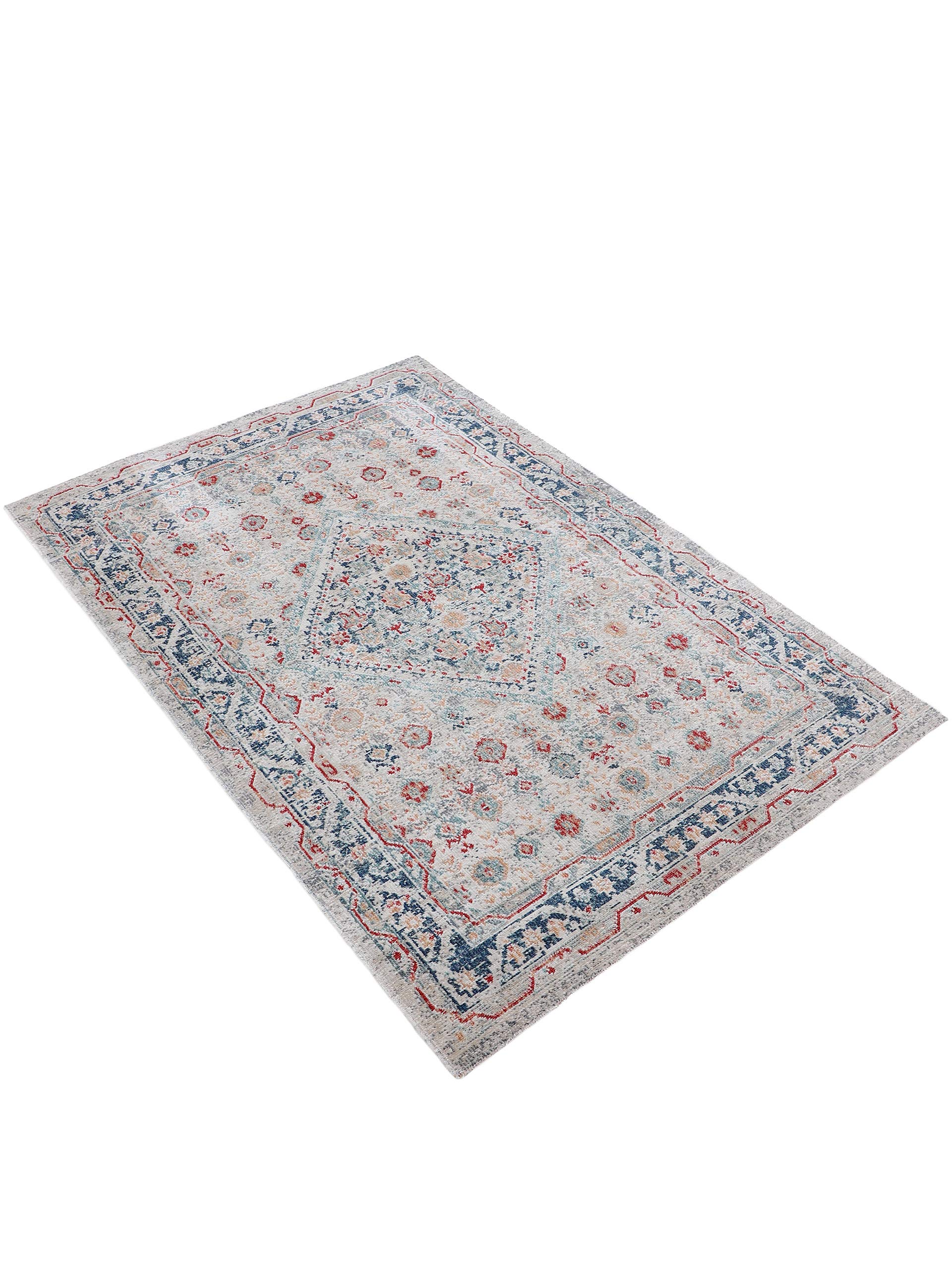 carpetfine-flachgewebeteppich-noah-hellgrau-80x150-cm-moderner-vintage-teppich-f image 3