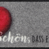 salonloewe-hereingehoppelt-minimatte-30-x-75-cm-kleine-bedruckte-fu-matte image 6