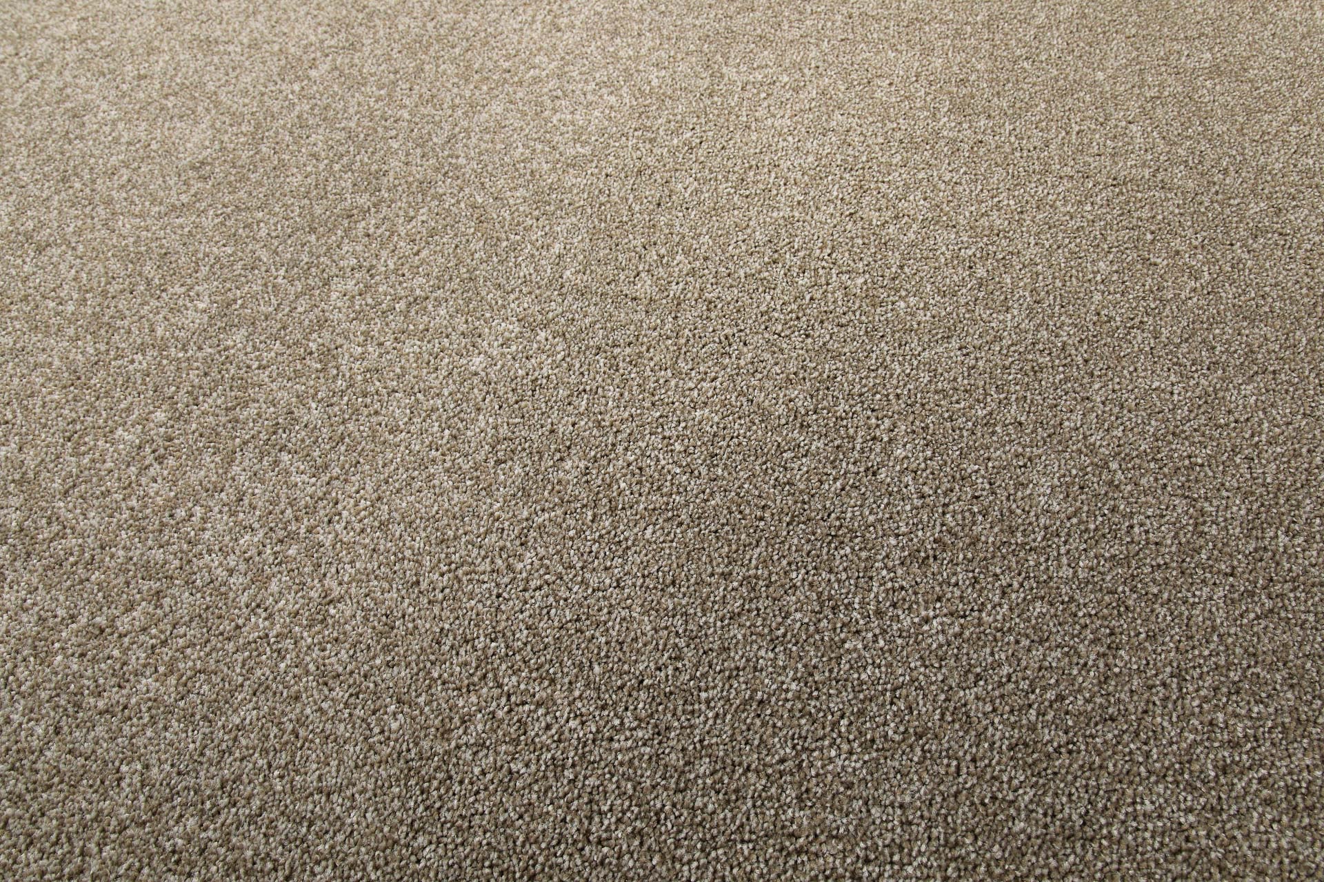 weconhome-tim-kurzflor-teppich-in-dunkelbeige-meliert-getufteter-synthetik-teppi image 5