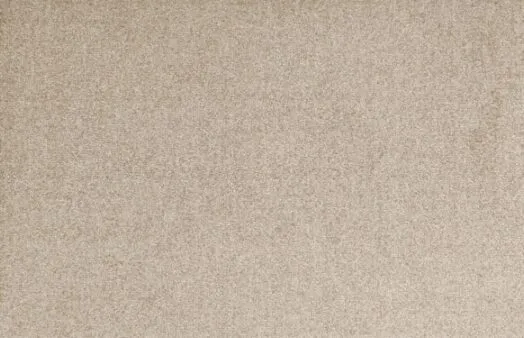 salonloewe-uni-sand-sonderanfertigung-70-200-individuelle-schmutzfangmatte-polya image 1