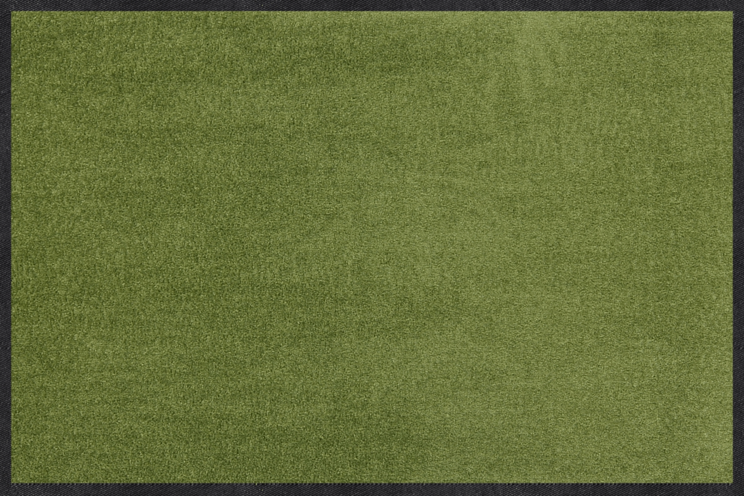 salonloewe-salbei-l-ufer-40-x-60-cm-gr-ne-uni-fu-matte image 1
