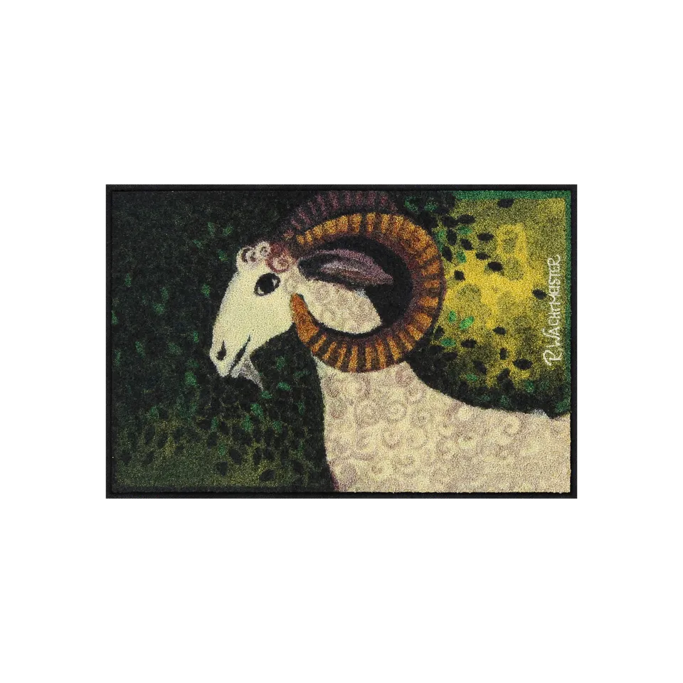salonloewe-riccia-eingangsmatte-50-x-75-cm image 1