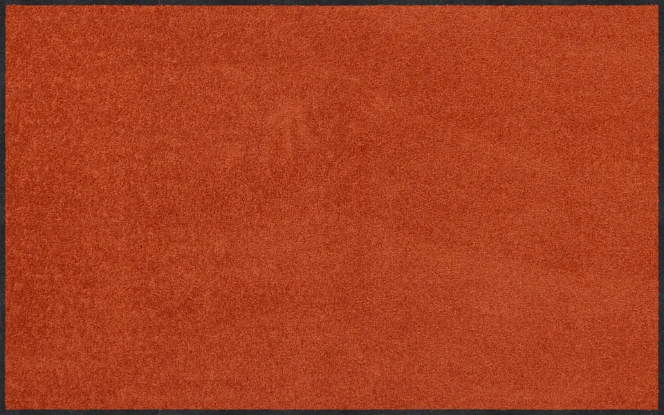 salonloewe-cayenne-halb-rund-75-x-120-cm-halbrunde-fu-matte-in-terrakotta image 1